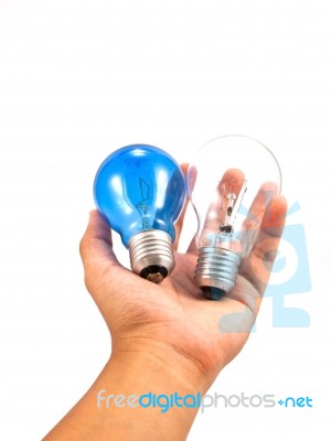 Lightbulb In Hand Stock Photo