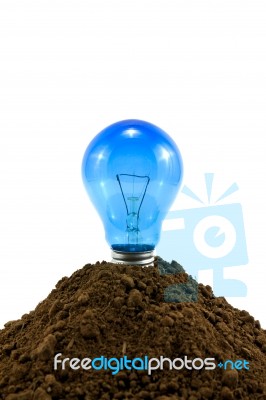 Lightbulb In Soil Stock Photo