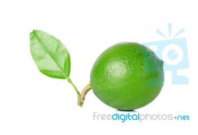 Lime With Leaf Isolated On White Background Stock Photo