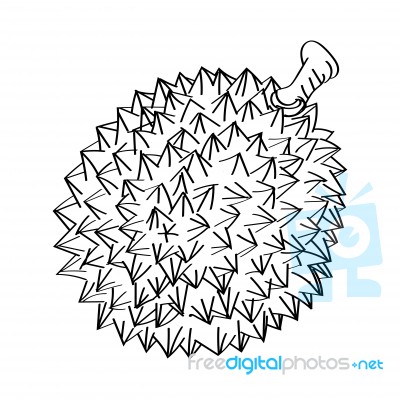 Line Drawing Of Durian -simple Line  Stock Image