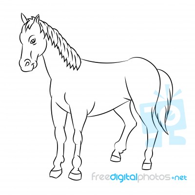 Line Drawing Of Horse -simple Line Stock Image