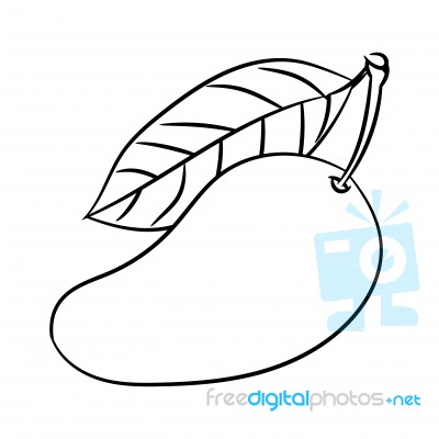 Line Drawing Of Mango -simple Line Stock Image