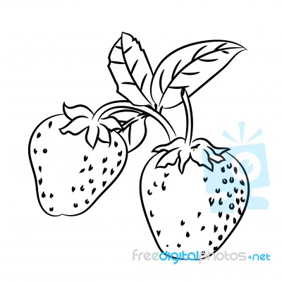 Line Drawing Of Strawberry -simple Line Stock Image