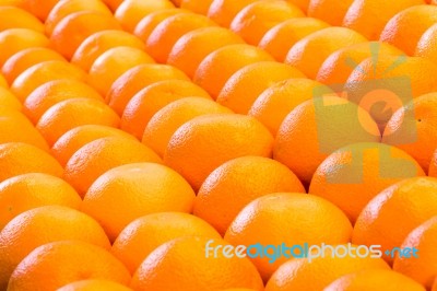 Lines Of Many Oranges In Rows Stock Photo