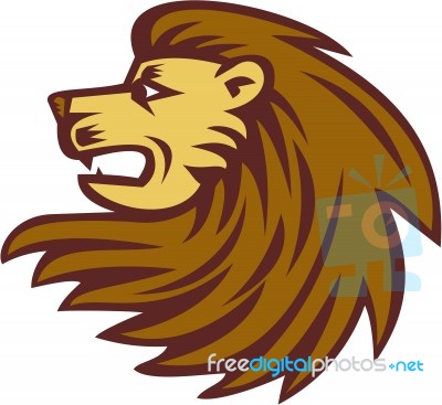 Lion Big Cat Head Woodcut Stock Image