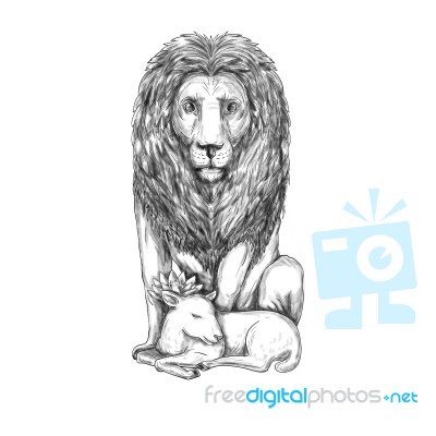 Lion Watching Over Lamb Tattoo Stock Image