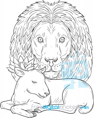 Lion Watching Over Sleeping Lamb Drawing Stock Image