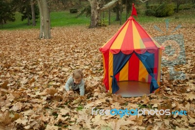 Little And Tent In The Park Stock Photo