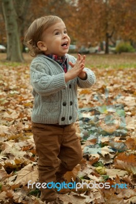 Little Boy In Autumn Leaves Stock Photo