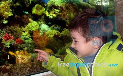 Little Boy In The Aquarium Stock Photo