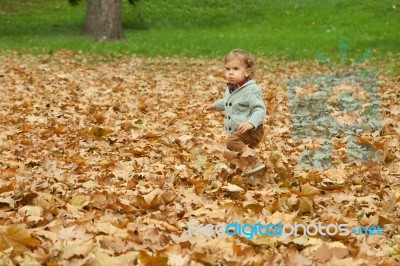 Little Boy Running On Autumn Leaves Stock Photo