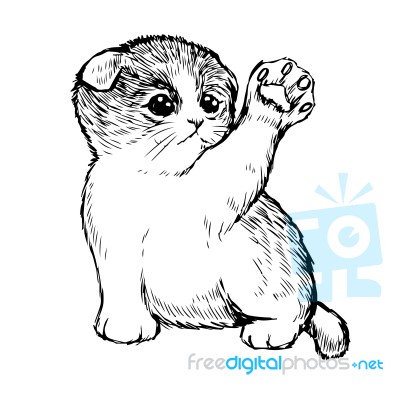 Little Cat Hand Drawn Stock Image