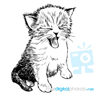 Little Cat Hand Drawn Stock Image