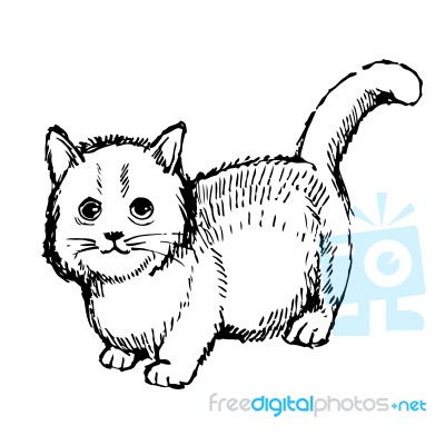 Little Cat Hand Drawn Stock Image