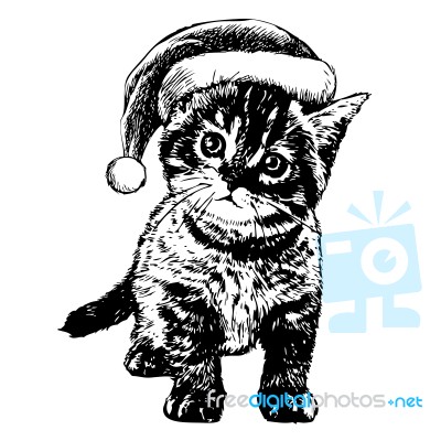 Little Cat, Kitten With Christmas Santa Hat Stock Image