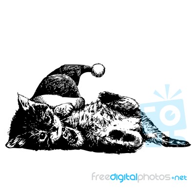 Little Cat, Kitten With Christmas Santa Hat Stock Image