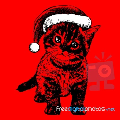 Little Cat, Kitten With Christmas Santa Hat Stock Image