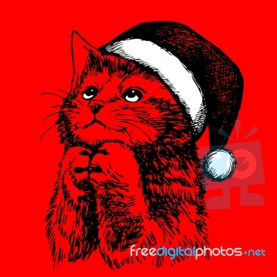 Little Cat, Kitten With Christmas Santa Hat Stock Image