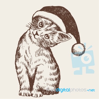 Little Cat, Kitten With Christmas Santa Hat Stock Image