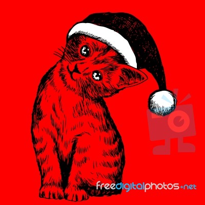 Little Cat, Kitten With Christmas Santa Hat Stock Image