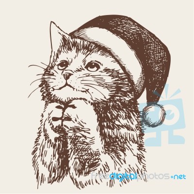 Little Cat, Kitten With Christmas Santa Hat Stock Image