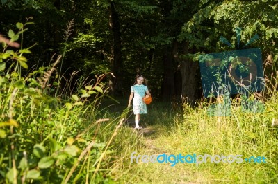 Little Girl Goes Out Of The Forest Stock Photo