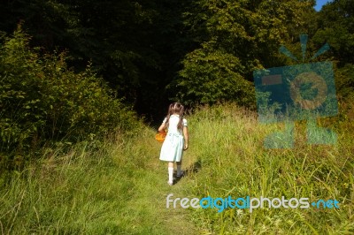 Little Girl Goes To The Forest Stock Photo