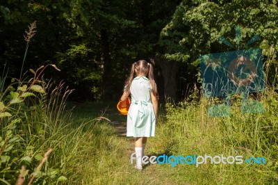 Little Girl Goes To The Forest Stock Photo