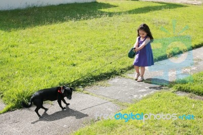 Little Girl Having Trouble With Dog Stock Photo