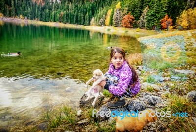 Little Girl Playing With Dogs On Th Coast Of The Black Lake ( Crno Jezero),durmitor, Montenegro Stock Photo