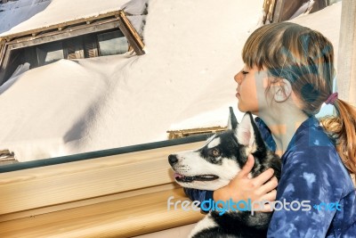 Little Girl With The Husky Dog Looking Through The Window Stock Photo