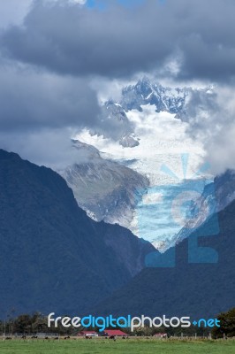 Living In The Shadow Of The Fox Glacier Stock Photo