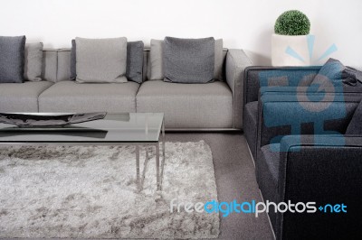 Lliving-room With Classic Furniture Stock Photo