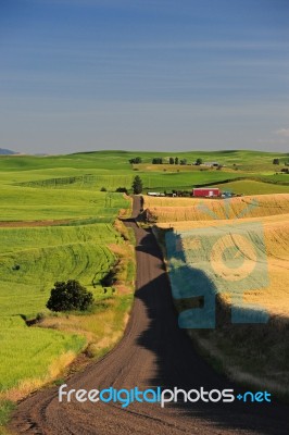 Local Farm Stock Photo