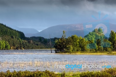 Loch Garten Stock Photo