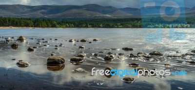 Loch Morlich Stock Photo