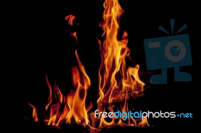 Log Is Burning Stock Photo