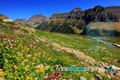 Logan Pass, Glacier National Park, Usa Stock Photo