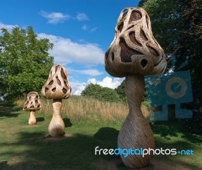 London -september 7 : Tom Hare's Fungi Fairy Ring At Kew Gardens… Stock Photo