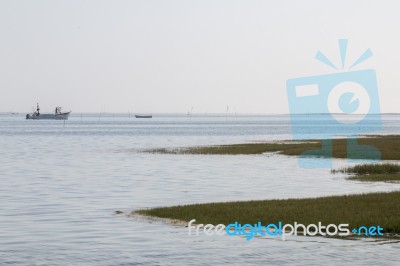 Lonely Fisherman Boat On The Marshlands Of Ria Formosa Stock Photo