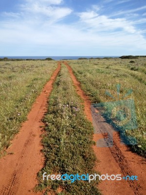 Long Dirt Road Stock Photo