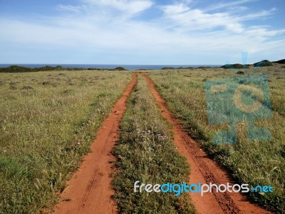 Long Dirt Road Stock Photo