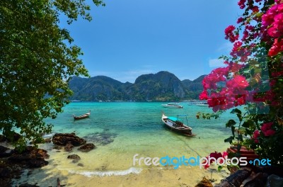 Long Tail Boats On Phi Phi Island Stock Photo