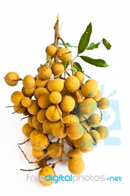 Longan Fruit Isolated On White Background Stock Photo