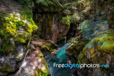 Looking Into Avalanche Creek Stock Photo