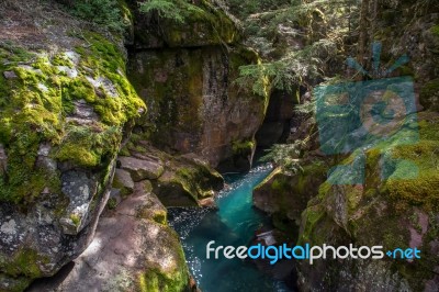 Looking Into Avalanche Creek Stock Photo