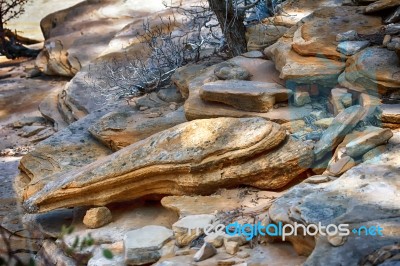 Loose Rocks In Zion Stock Photo