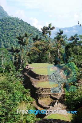 Lost City Of Buritaca 200 Stock Photo