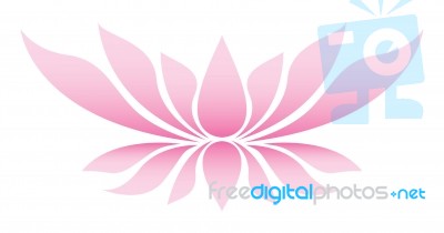 Lotus Flower Stock Image