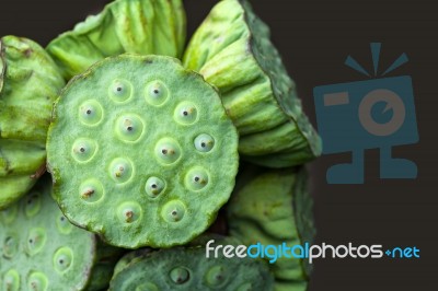 Lotus Seed Stock Photo